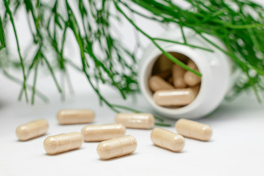 Featured Article: What are Digestive Enzymes and What are their Benefits?